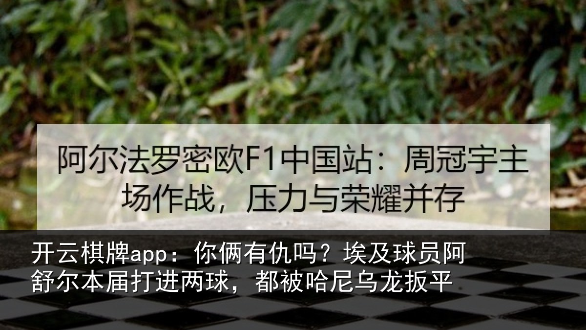 开云棋牌app:你俩相关情况舒尔相关情况哈尼乌龙扳平