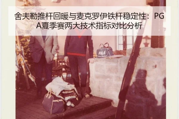 she-fu-lei-tui-gan-hui-nuan-yu-mai-ke-luo-yi-tie-gan-wen-ding-xing-xia-ji-sai-liang-da-ji-shu-zhi-biao-dui-bi-fen-xi-3-648.jpg