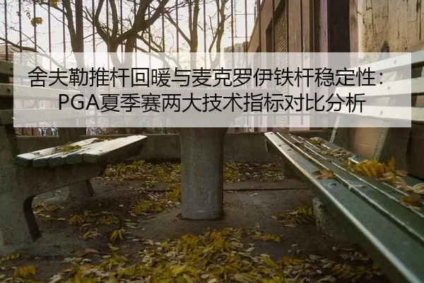 舍夫勒推杆回暖与麦克罗伊铁杆稳定性：PGA夏季赛两大技术指标对比分析