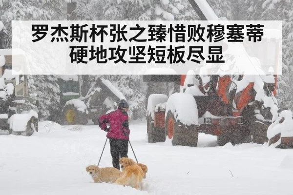 罗杰斯杯张之臻惜败穆塞蒂 硬地攻坚短板尽显